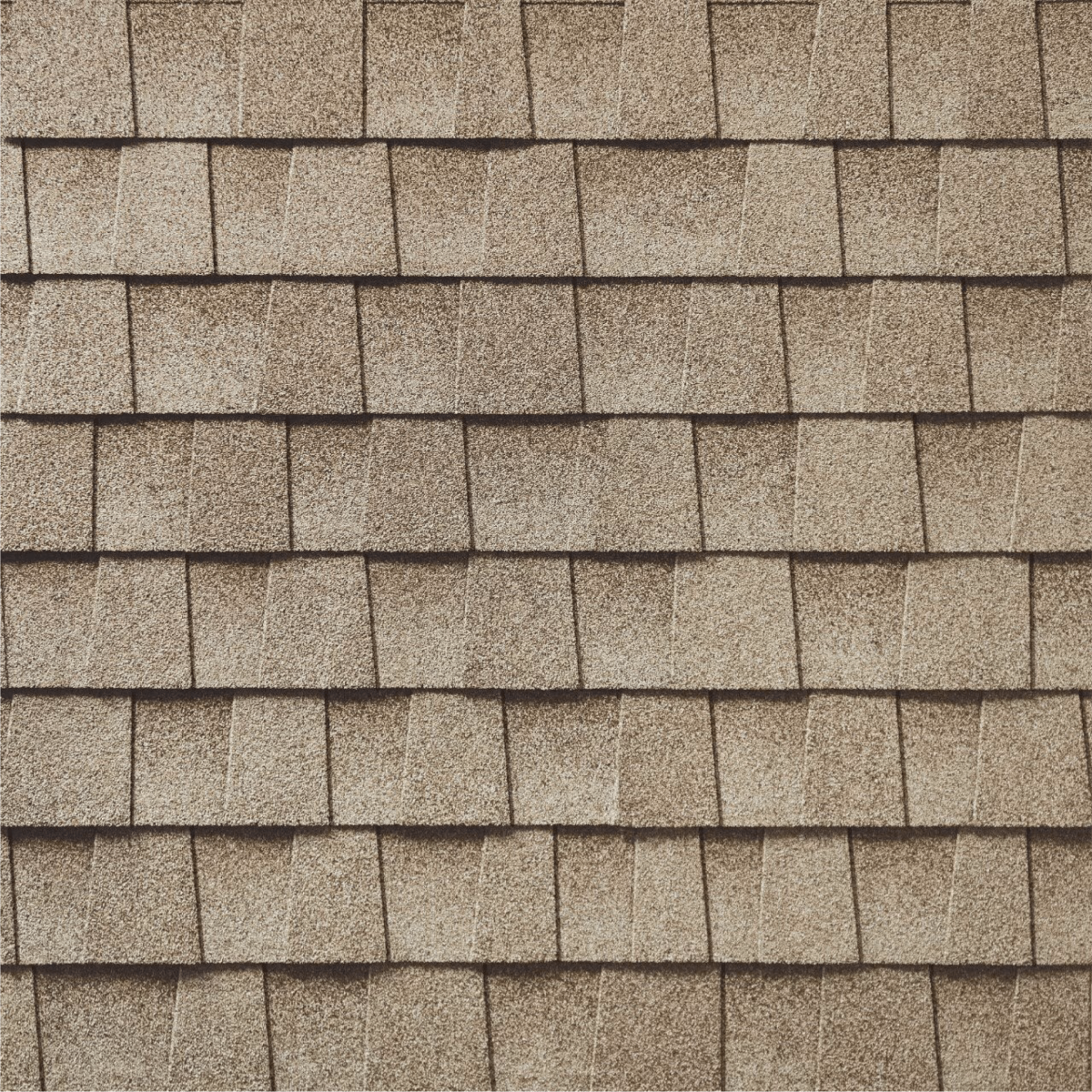 Raycon Contractors Images