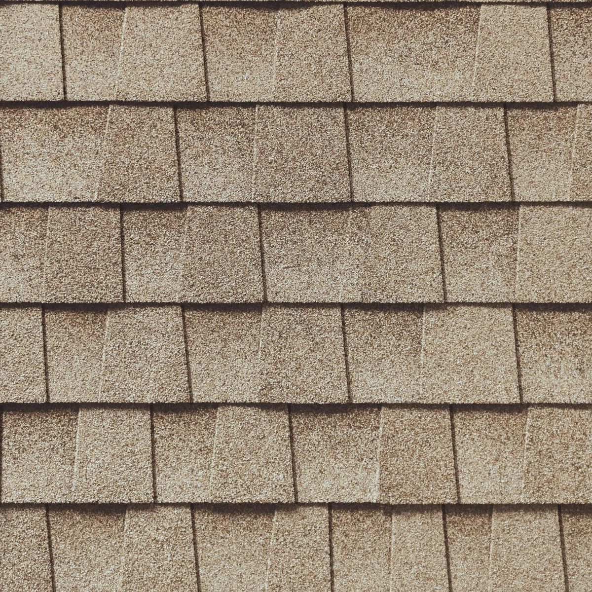 Raycon Contractors Images