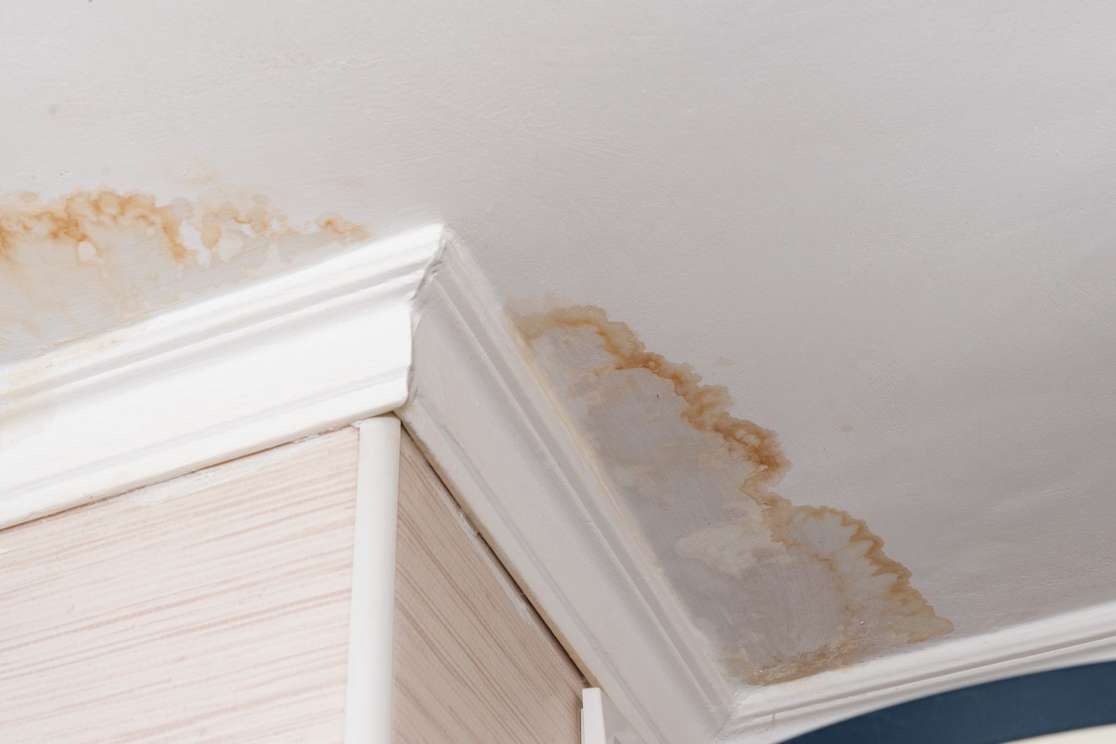 Raycon Contractors Images
